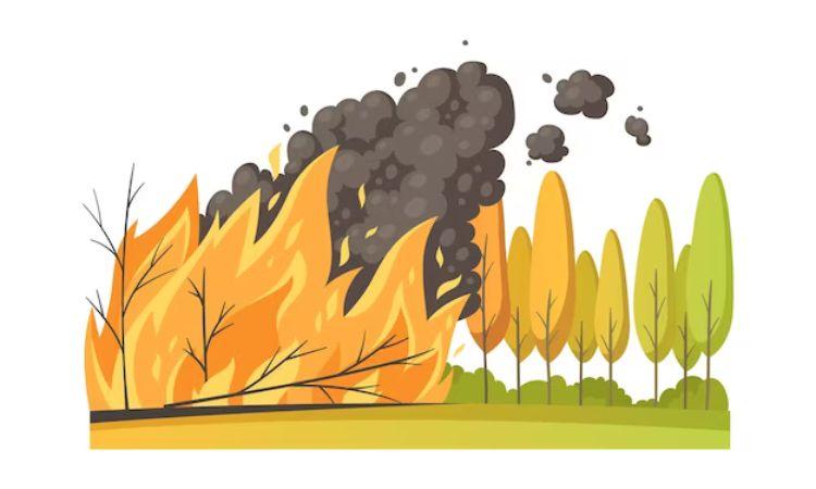 Immagine rappresentativa incendi Immagine rappresentativa incendi