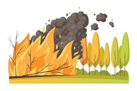 Immagine rappresentativa incendi